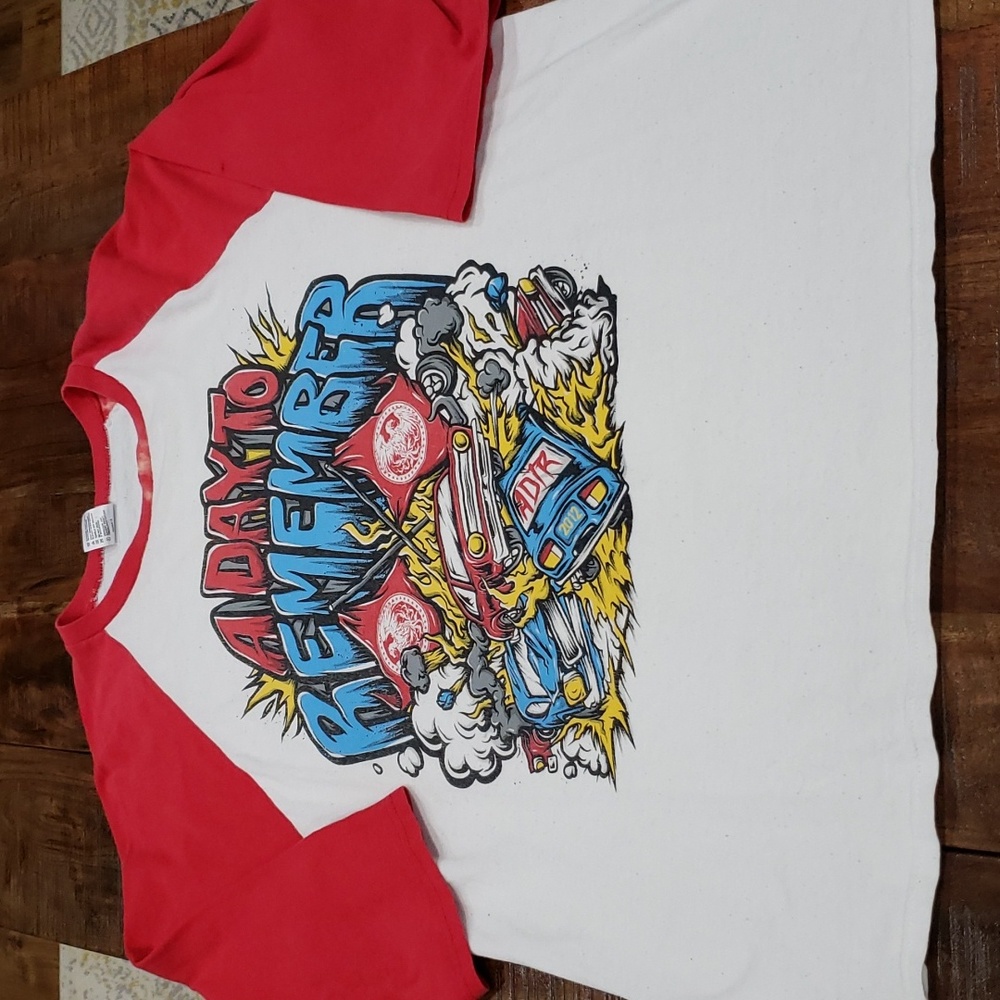 Vintage Anvil concert tshirt